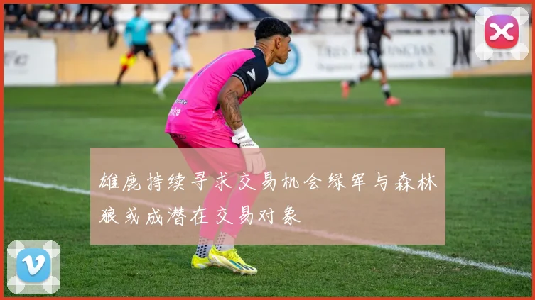 雄鹿持续寻求交易机会绿军与森林狼或成潜在交易对象